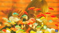 https://images.plurk.com/3A7Ziao3pZDN2lniSd2HMS.png