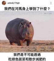 https://images.plurk.com/3AHlmK8B1ZW2P6EeOAfJd0.jpg