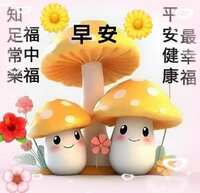 https://images.plurk.com/3AfHSQjp3Cb3HAbRTwAB29.jpg