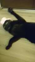 https://images.plurk.com/3AlXVjhKLwhQbOY5e954mx.jpg