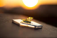 https://images.plurk.com/3B7m3pJYpivABpcy1T03eD.jpg
