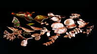 https://images.plurk.com/3BB27TAogZ7jXyiqYuCQFI.jpg