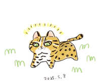 https://images.plurk.com/3BBKqUE15THacKLKo1RMDP.jpg