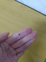 https://images.plurk.com/3BDxvoYDm27mRuZyqFnBr6.jpg