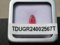 https://images.plurk.com/3BE9AwkbcQRDiSYal4Qo2m.jpg