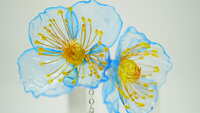 https://images.plurk.com/3BGgoXTvBadTqnIm1JGEXT.jpg
