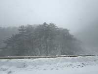 https://images.plurk.com/3BMuuP1G5U5uCkBidinSsT.jpg