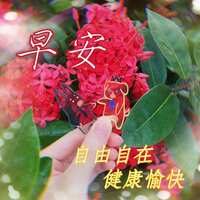 https://images.plurk.com/3BW39AKq56IpBMLTRJN4o.jpg