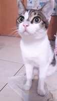 https://images.plurk.com/3BXffKNWYwJv78McoTNL1i.jpg
