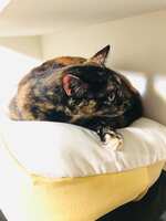 https://images.plurk.com/3BYRsBm3uh47yXGztlVOQ5.jpg