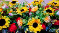 https://images.plurk.com/3BaCbc7XdDBTsOOnbf2zVs.jpg