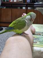 https://images.plurk.com/3BbSzPMN2sfRopjZZg31RZ.jpg