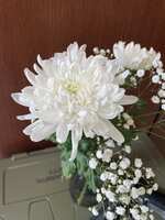 https://images.plurk.com/3BnPWMI2OSKEHcsSwNJ704.jpg