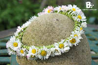 https://images.plurk.com/3BsZTD8Ds5ajGemh1NPX3B.jpg