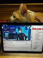 https://images.plurk.com/3BtgmTsmuI9NhhFXEkzUiM.jpg