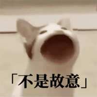 https://images.plurk.com/3BuM6LLPgYa53zdqWeztxb.gif