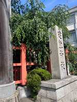 https://images.plurk.com/3C2Z07xJTab5g4hkHSnPph.jpg