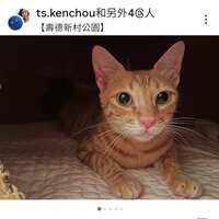https://images.plurk.com/3C33cLSDppHwuvk5BZsbnb.jpg