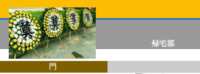 https://images.plurk.com/3C5HaS41rVoTtXhIAMshin.png