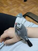 https://images.plurk.com/3C9jXhIA6Aa1CDhxKxHaQF.jpg