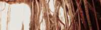 https://images.plurk.com/3CCSwGF8n1XUAHRBf1CeN0.png
