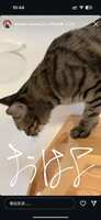 https://images.plurk.com/3CEmuWGOOVycgFz6fKuze8.png
