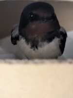 https://images.plurk.com/3CFxUKPDMbvh88336Oz45p.jpg