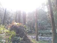 https://images.plurk.com/3CITUEFlhSn0Dw2m2Mwacv.jpg