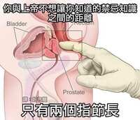 https://images.plurk.com/3COEcr8I0A822BaD3vIPFD.jpg