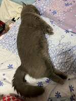 https://images.plurk.com/3CSCPinZZtnow14CAtFSWs.jpg