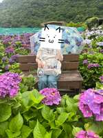 https://images.plurk.com/3CZ1iZgAwu3jYp3ZJwZan.jpg