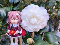 https://images.plurk.com/3Cb9LNNSeN4c14gsRmtdkZ.jpg