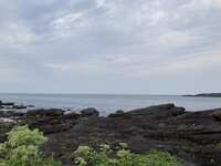 https://images.plurk.com/3Cgb6ch4d6BAJIIbBQoETq.jpg