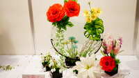 https://images.plurk.com/3CgccX3vnm90C2EcmInlrp.jpg