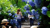 https://images.plurk.com/3CgsWsoBsBKn7RgXvKCb.jpg