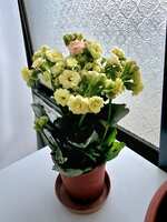 https://images.plurk.com/3ChQHiYHdQWs6jSgK54deD.jpg