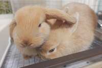 https://images.plurk.com/3DWycXnkIpLYJhrQjqT0C8.jpg