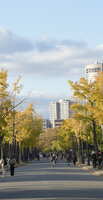 https://images.plurk.com/3DXEXynb7GNdoBKPbXZtpD.jpg