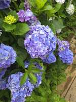 https://images.plurk.com/3DaSHAFGhxSOVirE0Mvmql.jpg