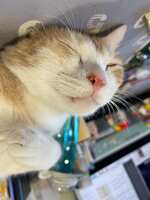 https://images.plurk.com/3DrYJOm57Jfr3Uy9fOwhjN.jpg