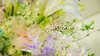 https://images.plurk.com/3E0pxxhE4V4Nm2HQkWE0UG.jpg