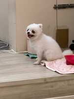 https://images.plurk.com/3E1YU8EHb6KkSBTTuhTMSh.jpg