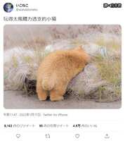 https://images.plurk.com/3EKQieARgRFpgk59O1LnIU.png