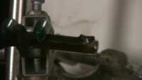 https://images.plurk.com/3EL7HI5hHXgDvm8gqPc19c.png