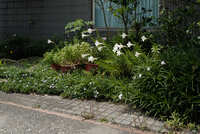https://images.plurk.com/3EMCk9eHwE2Kq89BFxrHQj.jpg
