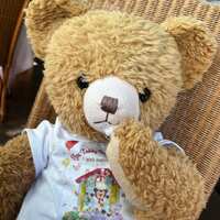 https://images.plurk.com/3Eas92Gw61wxZ7k4PTwXiP.jpg