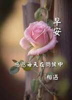 https://images.plurk.com/3Eg1Neq9LGaPf1hifSskZz.jpg