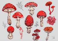https://images.plurk.com/3ErNoX5ZzOrSA30IDtLY3Y.jpg