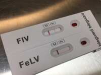 https://images.plurk.com/3ErYsVIgaV4df1YNwcFXkp.jpg