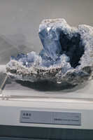 https://images.plurk.com/3FIzIfoWyrb0IC6dXPcfX5.jpg